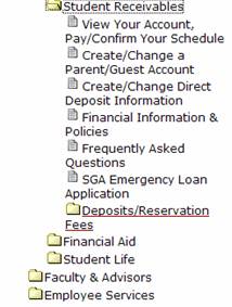 image showing banner submenu for student receivables